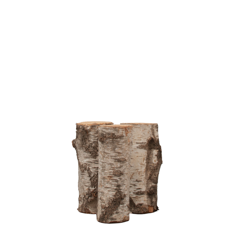Berkenstammetjes