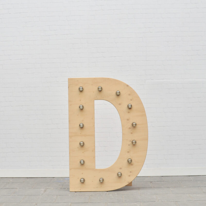 Lichtletter D - klein (ca. 60 cm)