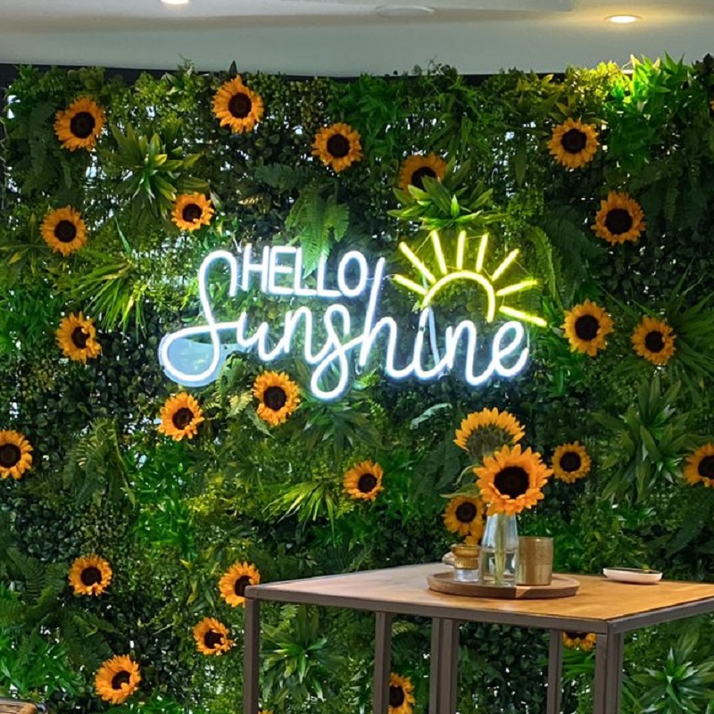 Neon - Hello Sunshine