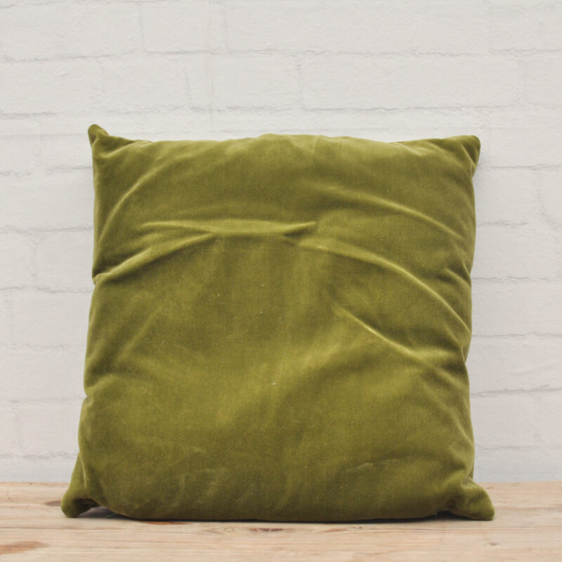 Velvet kussen groen 6