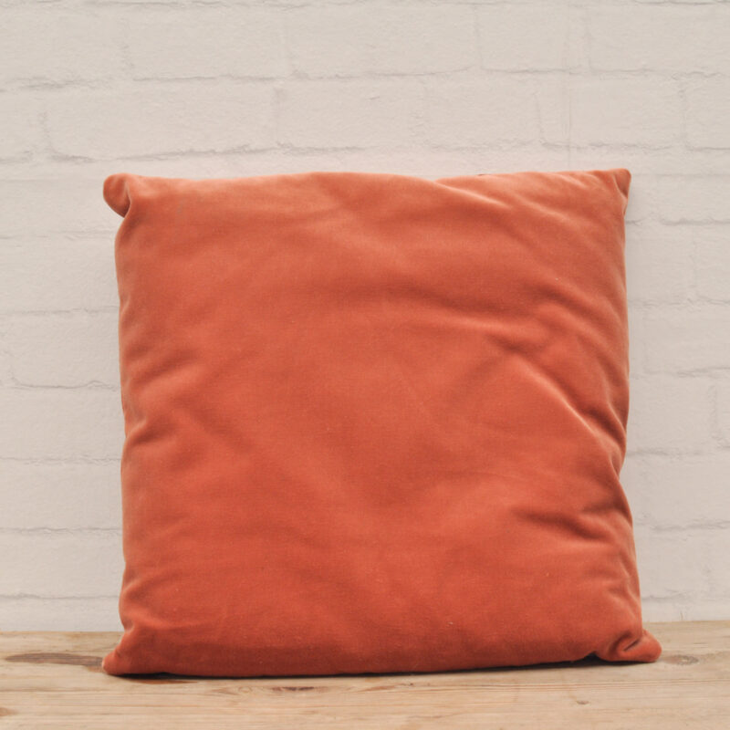Velvet kussen terra licht