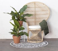 Peacock Chair Naturel Rotan